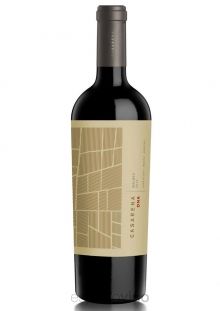 CASARENA DNA MALBEC X750CM3