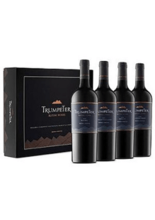 EST. TRUMPETER COLECCION X4BOT