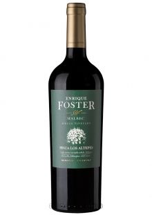 ENRIQUE FOSTER ALTEPES MALBEC X750CM3