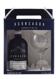 EST. GIN ACONCAGUA X1BOT + 1 COPA