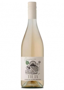 TILIA ORGANICO CHENIN X750CM3