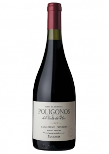 POLIGONOS GUALTALLARY MALBEC X750CM3