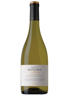 SEPTIMA OBRA CHARDONNAY X750CM3